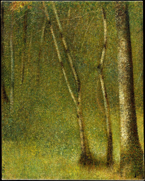 The Forest At Pontaubert by Georges Seurat
(PRT_4369) - Canvas Art Print - 18in X 23in