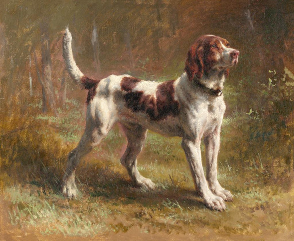 A Limier Briquet Hound Artist-Rosa Bonheur
(PRT_4708) - Canvas Art Print - 22in X 18in