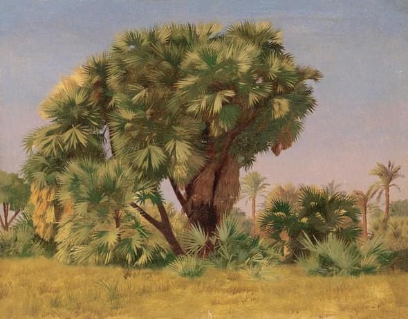 Study Of Palm Trees by Jean-L√©on G√©r√¥me
(PRT_4756) - Canvas Art Print - 23in X 18in