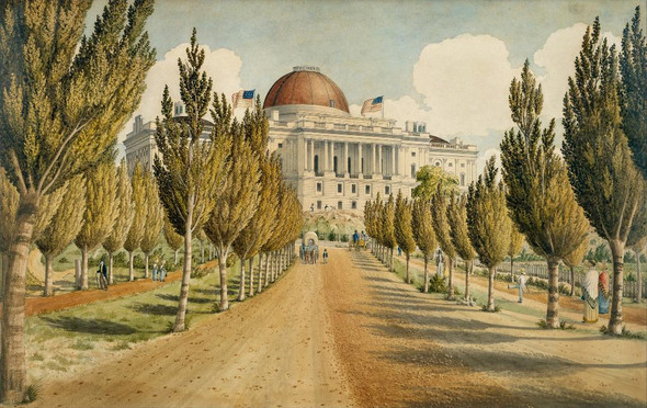 View Of The Capitol  by Charles W. Burton
(PRT_4778) - Canvas Art Print - 22in X 14in