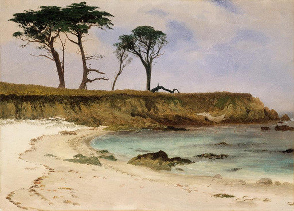 Sea Cove by Albert Bierstadt
(PRT_4746) - Canvas Art Print - 22in X 16in
