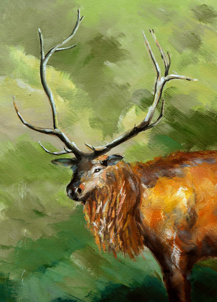 animal, animal painting, wild life, deera, deer with horns, moose, moose painting