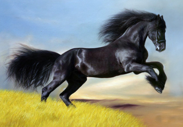 animal, animal painting, wild life,horse, horse painting, black horse, galloping horse, black galloping horse painting