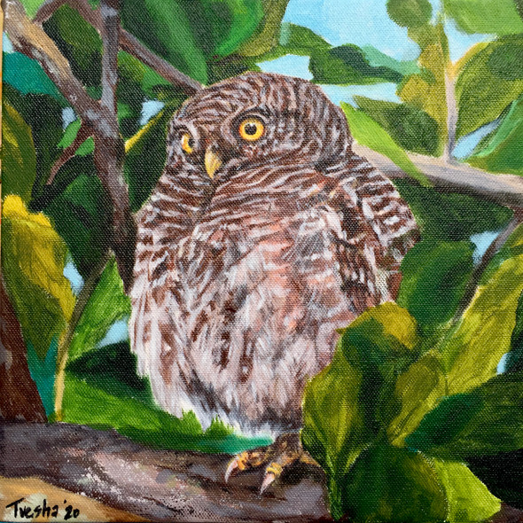 Watchful Owlet (ART_6676_53027) - Handpainted Art Painting - 10in X 10in