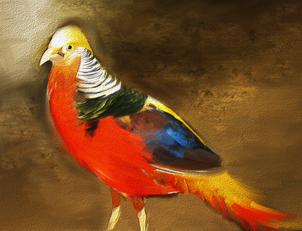 The Radiant Bird (PRT_7778_52870) - Canvas Art Print - 30in X 24in