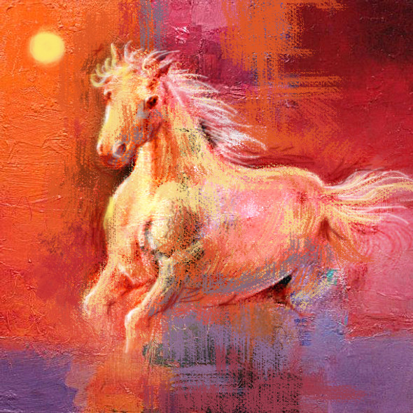 Horse,Red,Pink Shades,Horses,Ridder,Speed,White Horse