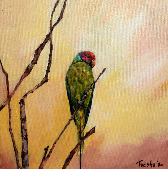 Plum Headed Parakeet at Sunset (ART_6676_53347) - Handpainted Art Painting - 10in X 10in