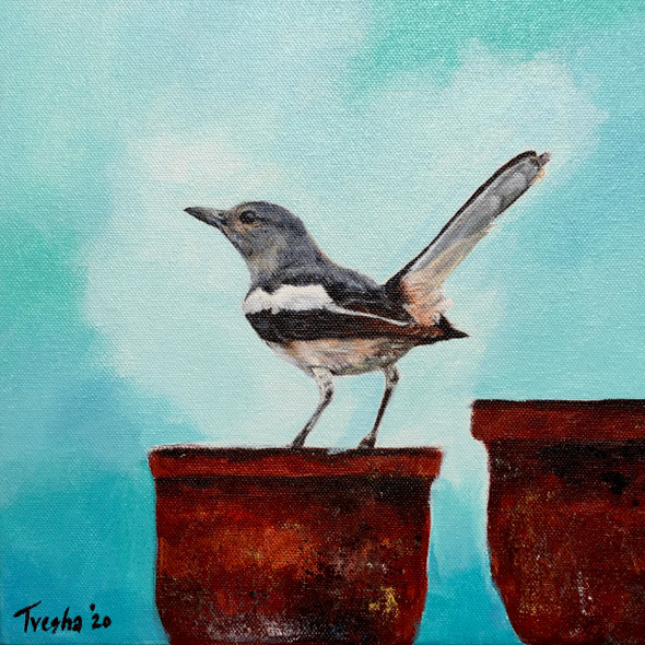 Oriental Magpie Robin Listens Below (ART_6676_53346) - Handpainted Art Painting - 10in X 10in