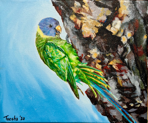 Close Inspection Of A Tree Hollow (ART_6676_53342) - Handpainted Art Painting - 12in X 10in
