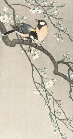 Tits On Cherry Branch (1900‚Äì1910) by Ohara Koson
(PRT_5588) - Canvas Art Print - 19in X 36in