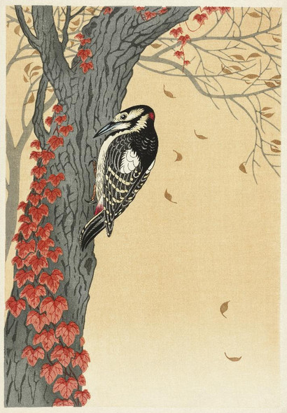 Great Spotted Woodpecker In Tree With Red Ivy (1925 - 1936)  by Ohara Koson
(PRT_5566) - Canvas Art Print - 25in X 35in