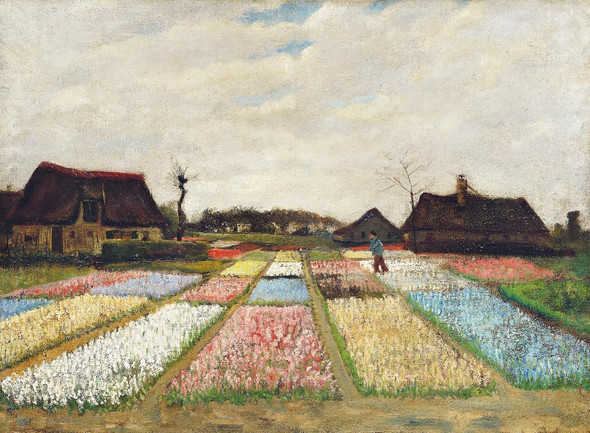 Flower Beds In Holland (1883) by  Vincent Van Gogh
(PRT_5394) - Canvas Art Print - 23in X 17in