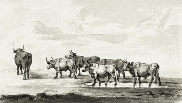 Group Of Six Bulls by Jean Bernard (1775-1883)
(PRT_5439) - Canvas Art Print - 33in X 19in