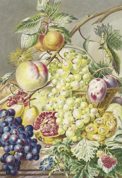 Fruitstuk (1777) By Cornelis Ploos Van Amstel (PRT_5508) - Canvas Art Print - 22in X 31in