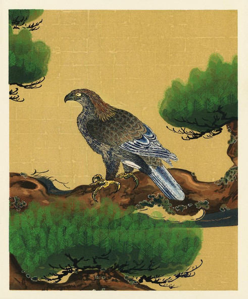 Pine And Eagle By Kano Tanyu (PRT_5755) - Canvas Art Print - 28in X 34in