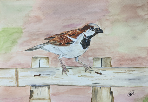 The Innocence of Sparrow (ART_7813_53195) - Handpainted Art Painting - 12in X 8in