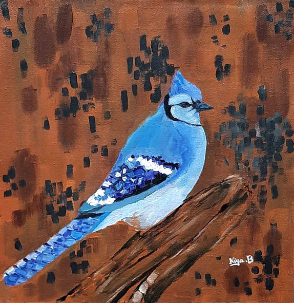 Blue Jay (PRT_5839_54182) - Canvas Art Print - 18in X 18in