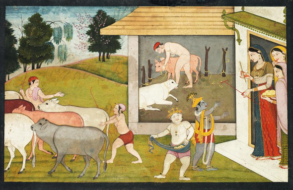 Krishna And Balarama Taking The Cattle Out To Graze, From A Bhagavata Purana (PRT_6535) - Canvas Art Print - 35in X 23in