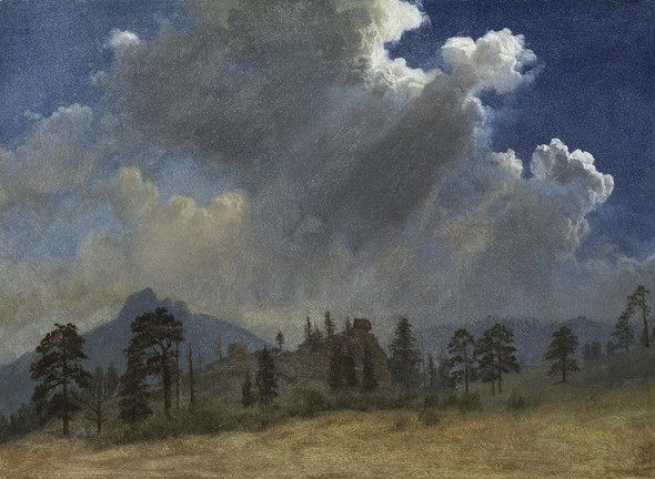 Fir Trees And Storm Clouds By Albert Bierstadt (PRT_6570) - Canvas Art Print - 28in X 21in
