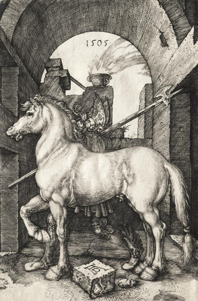 The Small Horse By Albrecht D√ºrer (PRT_6619) - Canvas Art Print - 20in X 30in