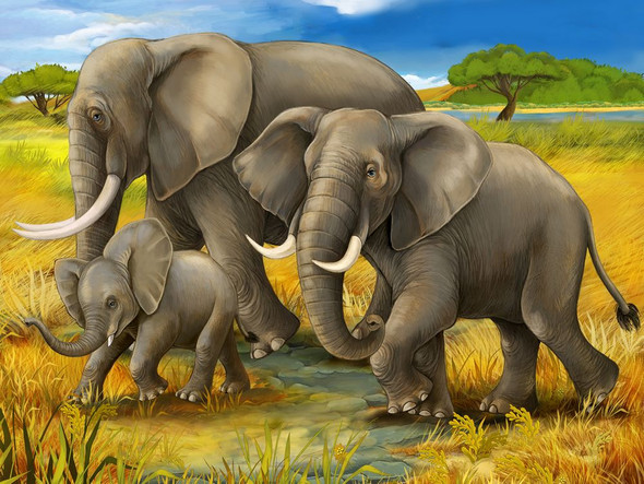 elephants, family of elephants, baby elephant, jungle, forest