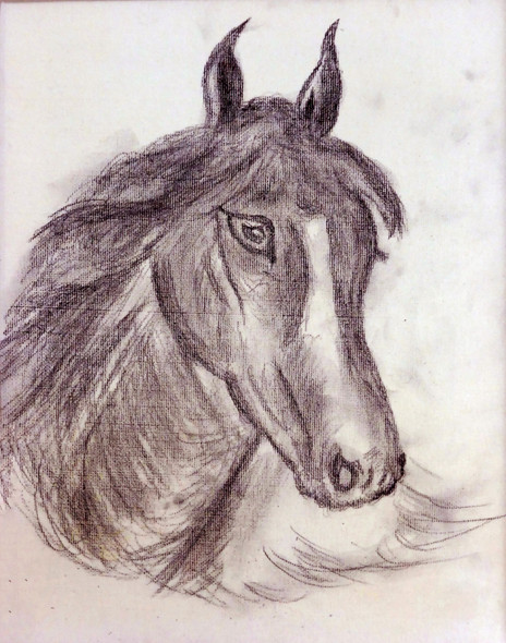 Horse (PRT_7809_55495) - Canvas Art Print - 24in X 32in
