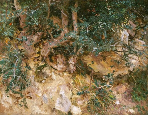 Valdemosa, Majorca Thistles And Herbage On A Hillside (1908) By John Singer Sargent (PRT_7377) - Canvas Art Print - 18in X 14in