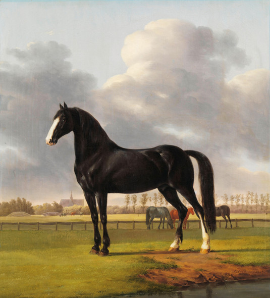 Adriaan Van Der Hoop‚Äôs Trotter ‚ÄòDe Vlugge‚Äô (The Fast One) In A Meadow By Anthony Oberman (PRT_7970) - Canvas Art Print - 28in X 31in