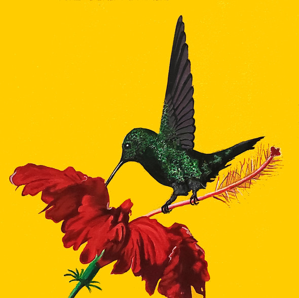 Hummingbird on hibiscus (PRT_7990_56213) - Canvas Art Print - 20in X 20in