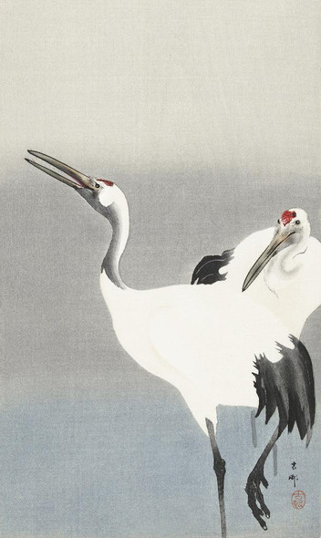 Two Cranes (1900-1930) By Ohara Koson (PRT_8407) - Canvas Art Print - 19in X 31in