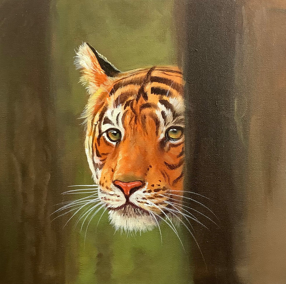Tiger Portrait (ARTOHOLIC) (ART_3319_57534) - Handpainted Art Painting - 24in X 24in