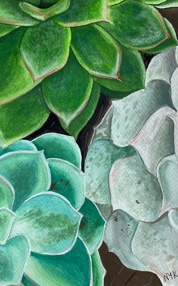 Natural Lush of Succulent Plants (ART_5998_58062) - Handpainted Art Painting - 6in X 10in