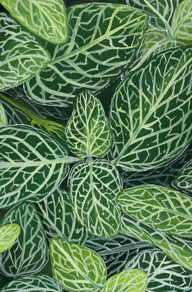 Beauty of Fittonia Albivenis (ART_5998_57692) - Handpainted Art Painting - 5in X 8in