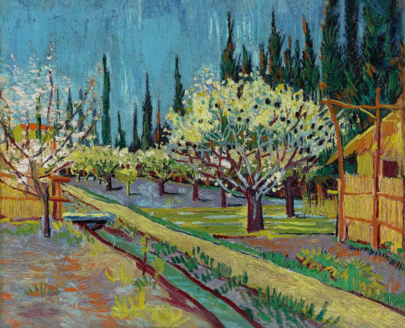 Orchard Bordered By Cypresses (1888) By Vincent Van Gogh (PRT_8446) - Canvas Art Print - 18in X 15in