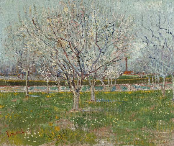 Orchard In Blossom (Plum Trees) By Vincent Van Gogh (PRT_8447) - Canvas Art Print - 23in X 20in