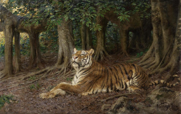 Reclining Tiger By Geza Vastagh (PRT_8590) - Canvas Art Print - 20in X 13in