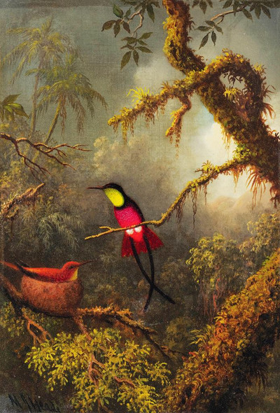 A Pair Of Nesting Crimson Topaz Hummingbirds (circa 1875) By Martin Johnson Heade (PRT_9017) - Canvas Art Print - 17in X 25in