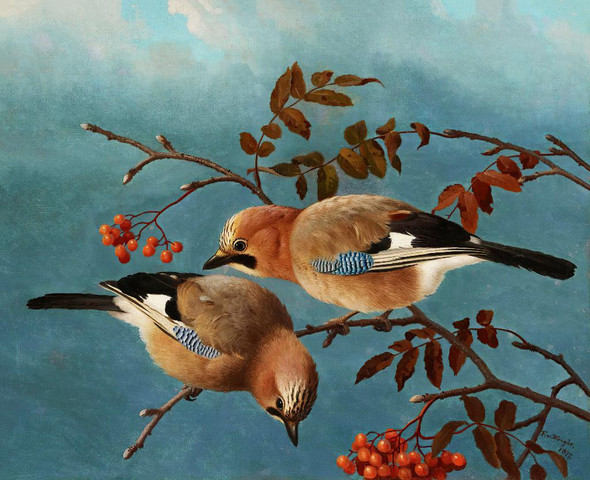 Jays (1877) By Ferdinand Von Wright (PRT_9470) - Canvas Art Print - 23in X 19in