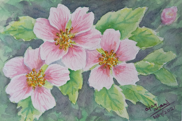 Pink Flowers in a Bunch  (ART_8185_58856) - Handpainted Art Painting - 9in X 6in