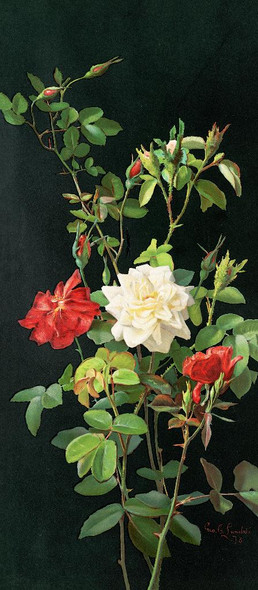 Roses And Buds (1878) By George Cochran Lambdin (PRT_9532) - Canvas Art Print - 14in X 32in