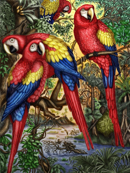 Bird,Parrot Red Mascow,Beautiful Bird Family