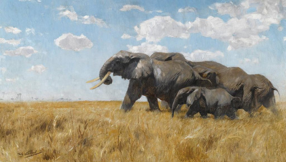 Elefanten Auf Der Wanderung (Elephants On The Move) By Wilhelm Kuhnert (PRT_9827) - Canvas Art Print - 21in X 12in