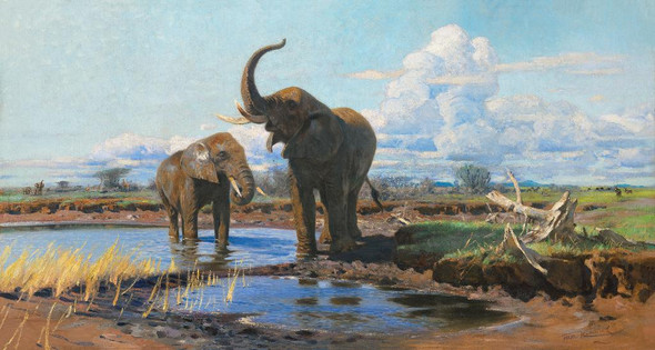 Elephants At A Waterhole By Wilhelm Kuhnert (PRT_9828) - Canvas Art Print - 19in X 10in