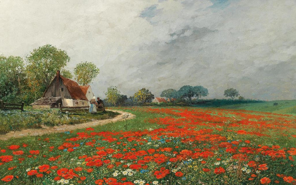 A Poppy Field With Daisies By A Poppy Field With Daisies By Adolf Kaufmann (PRT_10080) - Canvas Art Print - 31in X 19in