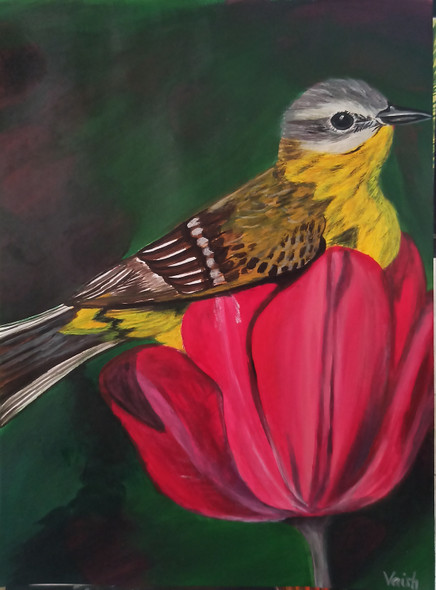 Bird (ART_7602_59914) - Handpainted Art Painting - 8in X 11in