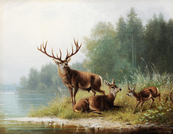 Stag At A Lake (1876) By Moritz M√ºller (PRT_10381) - Canvas Art Print - 20in X 16in