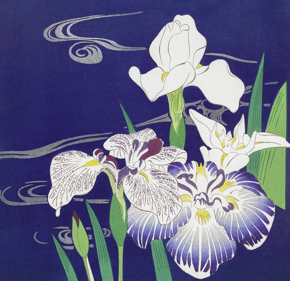 Irises (1890‚Äì1900) By Kogyo Tsukioka (PRT_10490) - Canvas Art Print - 25in X 24in