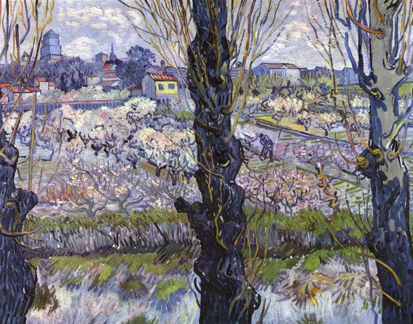 Vincent Van Gogh's View Of Arles, Flowering Orchards (1889) (PRT_10494) - Canvas Art Print - 19in X 15in