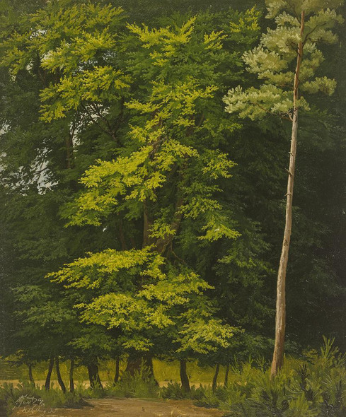 Broadleaf Forest (study In Oil) (1835) By Christian Heerdt (PRT_10550) - Canvas Art Print - 28in X 34in