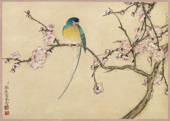 Bird With Plum Blossoms (18th Century) By Zhang Ruoai (PRT_10595) - Canvas Art Print - 36in X 26in